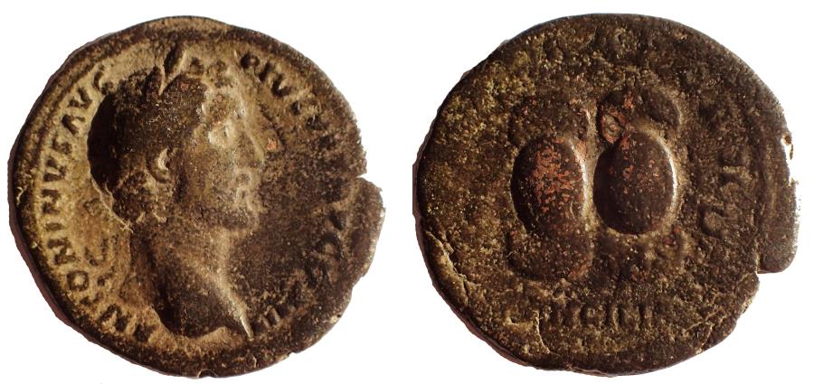 Antoninus Pius Ad Ae As Sacred Ancilia Reverse Roman