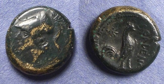 Ancient Coins - Campania, Cales 265-240 BC, AE18