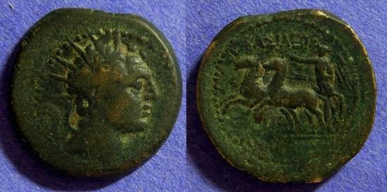 Ancient Coins - Seleucid Kingdom - Antiochos IV - 175-164 BC -AE 19
