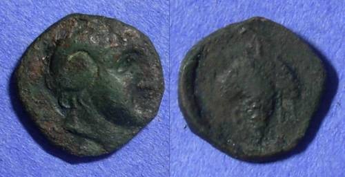 Ancient Coins - Cyclades – Tenos AE17– Circa 300-200 BC 