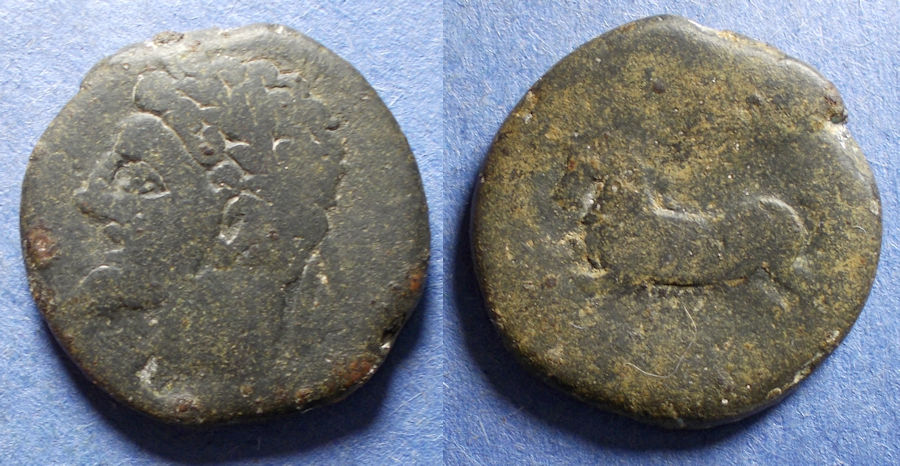 Micipsa Coin Numidia, Massinissa or Micipsa 203-118 BC, Bronze AE25 | Greek Coins