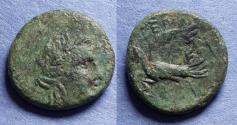 Ancient Coins - Sikyonia, Sikyon 100-60 BC, Bronze AE17