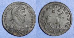 Ancient Coins - Roman Empire, Julian II 361-363, Bronze AE1
