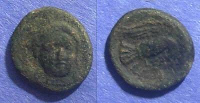 Ancient Coins - Chalkis, Euboea Circa 325 BC, AE12