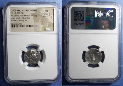 Lucania, Metapontion, Punic Occupation 215-207 BC, Silver Half Shekel ...