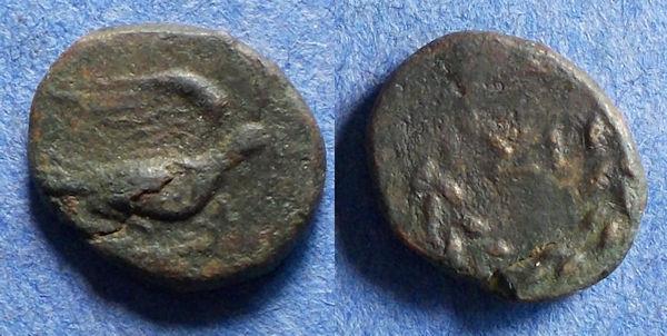 Ancient Coins - Sikyon,  250-200 BC, Bronze Chalkous