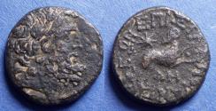 Ancient Coins - Seleucis & Pieria, Antioch Struck 13/14 AD, Bronze
