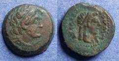 Ancient Coins - Egypt, Ptolemy III 246-221 BC, AE15
