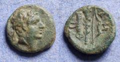 Ancient Coins - Lucania, Herakleia 276-250 BC, Bronze AE11