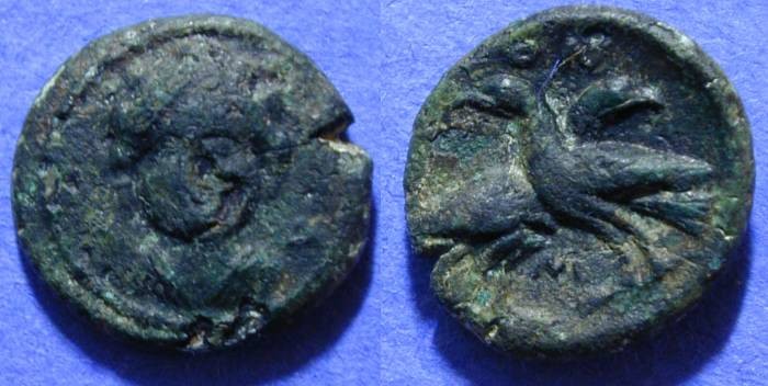 Ancient Coins - Laos Lucania - 4th Century BC AE16