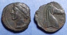 Ancient Coins - Zeugatania, Carthage 300-264 BC, Bronze AE19
