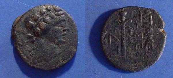 Ancient Coins - Apameia Syria  AE-20 Struck 8BC