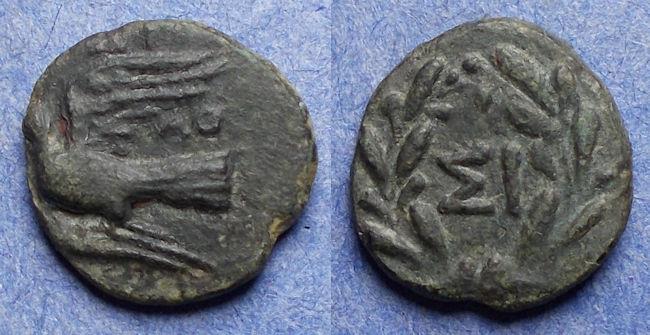 Ancient Coins - Sikyon,  300-310 BC, Bronze AE14