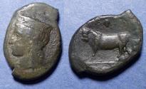 Ancient Coins - Sicily, Panormus ( Ziz ) 336-330 BC, Bronze AE20x27mm