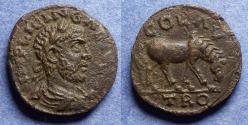 Ancient Coins - Alexander Troas, Gallienus 253-268, AE20