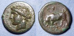 Ancient Coins - Sicily, Syracuse, Agathocles 317-289 BC, Bronze AE16