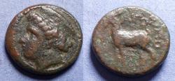 Ancient Coins - Thrace, Aigospotamoi Circa 300 BC, Bronze AE20