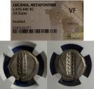 Ancient Coins - Lucania, Metapontum 470-440 BC, Nomos