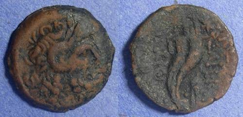 Ancient Coins - Egypt, Ptolemy X 101-88 BC, AE17