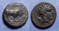 Ancient Coins - Sicily, Gela 420-405 BC, Bronze Onkia
