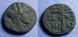 Ancient Coins - Phoenicia, Tyre, Pseudo-Autonomous Struck 81/2, Bronze AE16