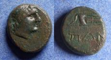Ancient Coins - Bosporos, Pantikapaion 200-150 BC, AE12