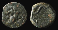Ancient Coins - Pantikapion, Tauric Chersonese/Bosphorus. 340 – 325 BC. AE-19.