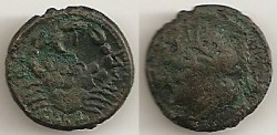 Ancient Coins - Sicily Akragas Crab