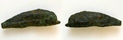 Ancient Coins - Olbia Dolphin