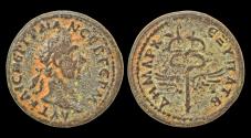Ancient Coins - Syria Seleucis and Pieria Antioch Trajan AE semis winged caduceus