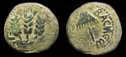 Ancient Coins - Judaea Herodians Agrippa I AE prutah