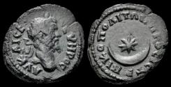 Ancient Coins - Moesia Inferior Nicopolis ad Istrum Septimius Severus assarion star in crescent