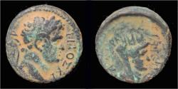 Ancient Coins - Decapolis Gadara Titus AE16