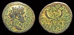 Ancient Coins - Syria Decapolis Gadara Titus AE17 crossed cornucopiae