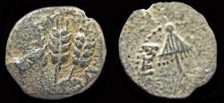 Ancient Coins - Judaea Herodians Agrippa I AE prutah
