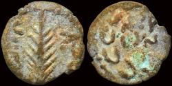 Ancient Coins - Judaea Porcius Festus procurator under Nero  AE prutah