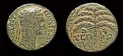Ancient Coins - Judaea Palestine Sepphoris Trajan AE22