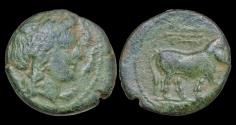 Ancient Coins - Italy Campania Neapolis AE17 bull to right