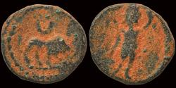 Ancient Coins - Syria Palmyrene Palmyra Pseudo-autonomous issue AE12