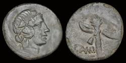 Ancient Coins - Pontos Amisos AE20 filleted thyrsos