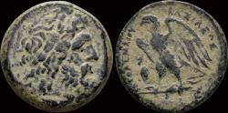 Ancient Coins - Ptolemaic Kingdom Ptolemy II AE diobol eagle left on thunderbolt