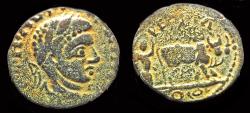 Ancient Coins - Arabia Petra Elagtabalus AE19 two oxen plowing