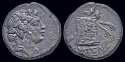 Ancient Coins - Pontos Amisos AE20 Thyrsus resting against cista mystica