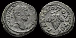 Ancient Coins - Moesia Inferior Marcianopolis Elagabalus AE assarion bunch of grapes