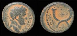 Ancient Coins - Decapolis Gadara Titus AE17