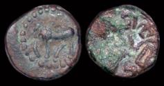 Ancient Coins - India Nagas of Narwa Ganapati Naga AE 1/4 kakini
