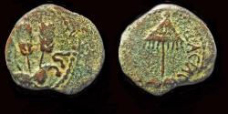 Ancient Coins - Judaea Herodians Agrippa I AE prutah