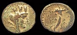Ancient Coins - Syria Decapolis Gadara Semi-autonomous issues AE19 cornucopiae