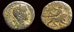 Ancient Coins - Judaea Samaria Caesarea Maritima Palestina  Volusian AE23 Dionysos on lion