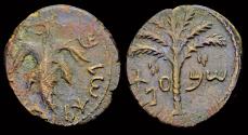 Ancient Coins - Judaea Bar Kochba Revolt AE25 Year three vine leaf on tendril
